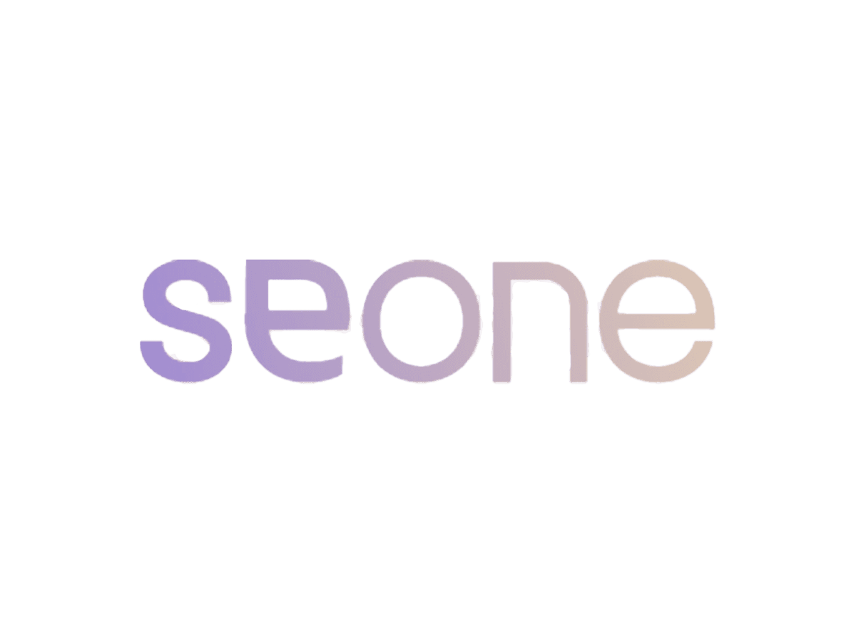 seone besturing systeem