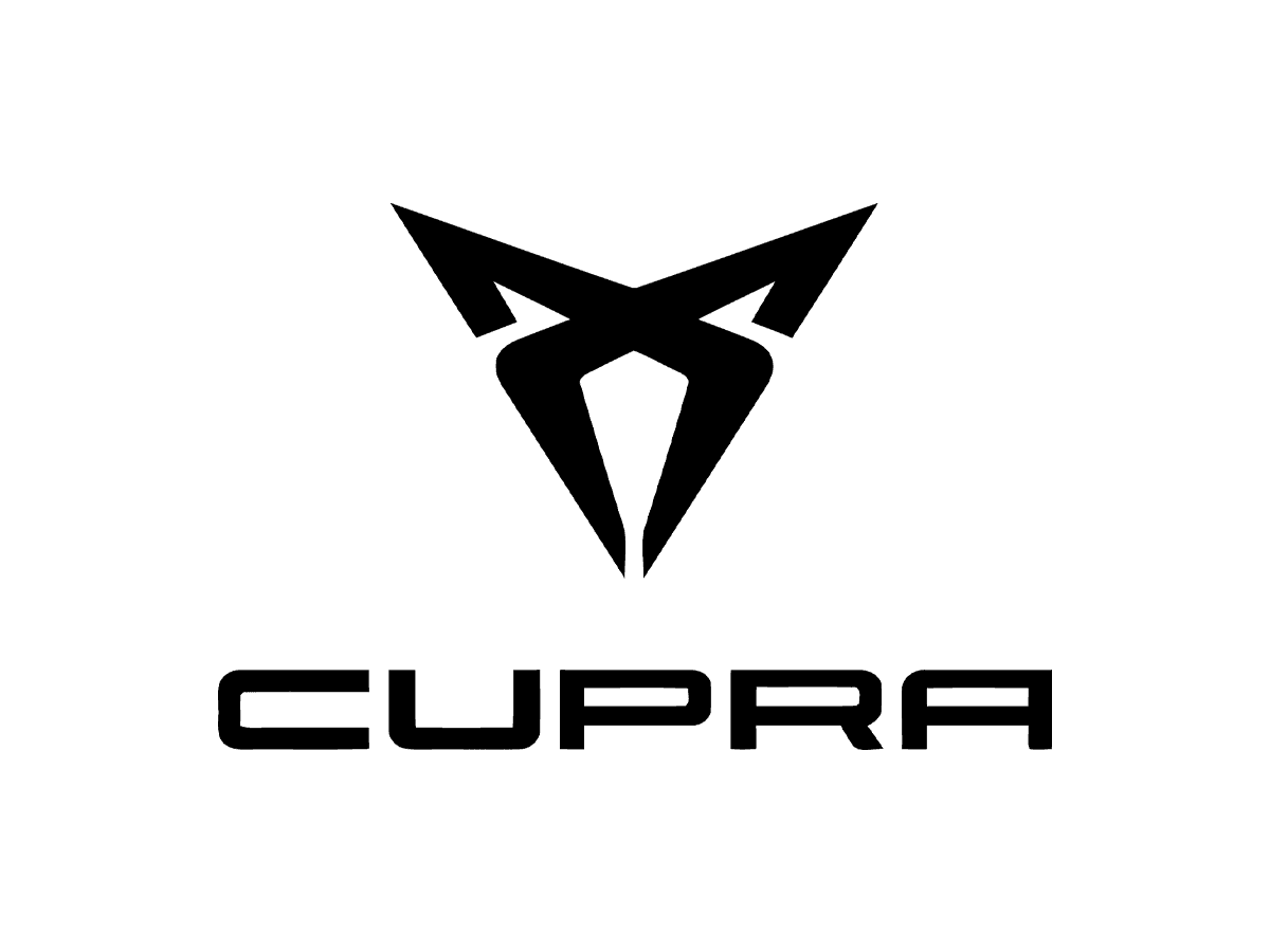 Seone Update Licentie Voor Cupra ODIS (1 jaar)